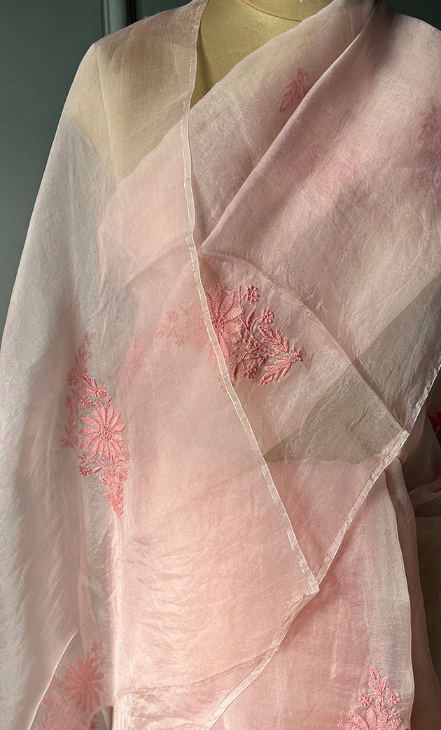 Women's Lucknowi Handcrafted Pure Organza Silk Chikankari Saree - HONC0294646