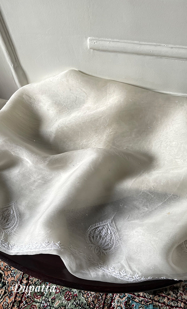 Women's Lakhnavi Handcrafted Pure Organza Chikankari Unstitched Kurta And Dupatta Set- HONC0328885