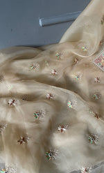 将图像加载到图库查看器中， Women&#39;s Lakhnavi Handcrafted Pure Organza Chikankari Unstitched Kurta And Dupatta Set- HONC0267234
