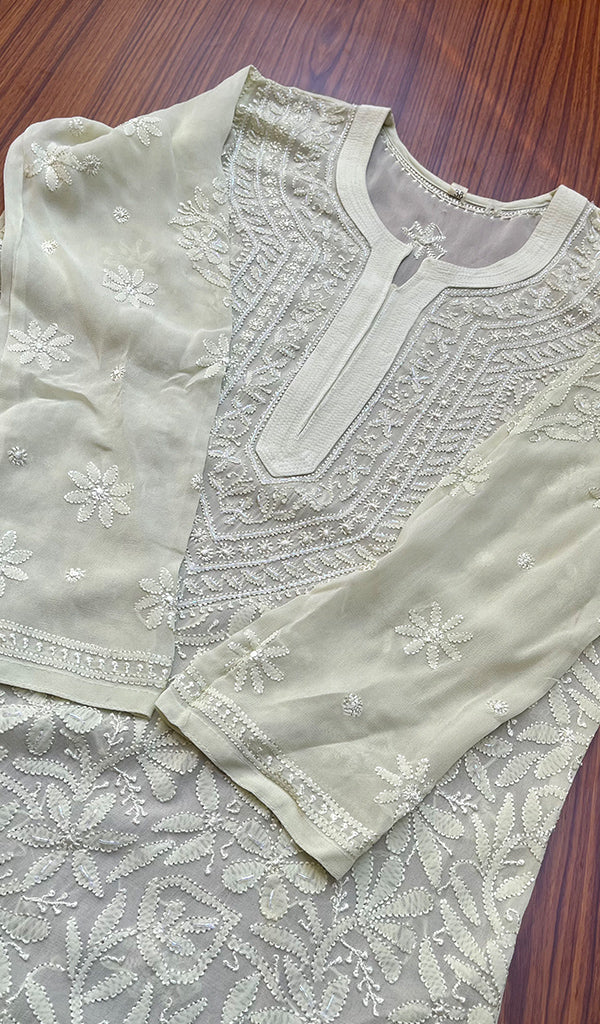 Women's Lakhnavi Handcrafted Viscose Georgette Chikankari Kurti- HONC0244743