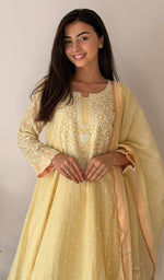 Load image into Gallery viewer, Women's Lucknowi Handcrafted Mul Chanderi Stitched Chikankari Anarkali , Dupatta With pant Set- HONC0328254