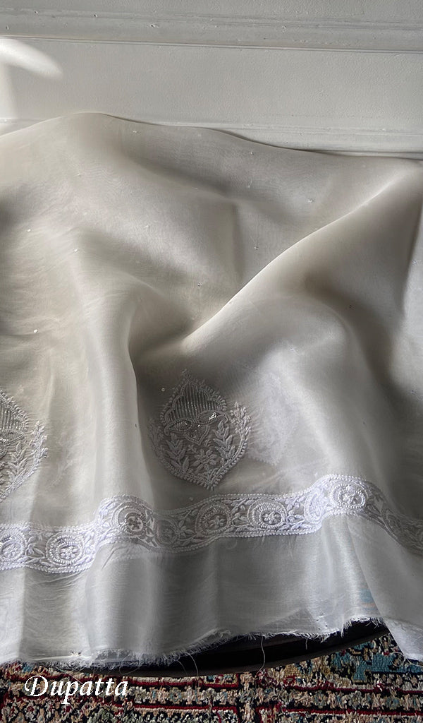 Women's Lakhnavi Handcrafted Mul Chanderi Unstitched Kurta And Dupatta Set - HONC0359790