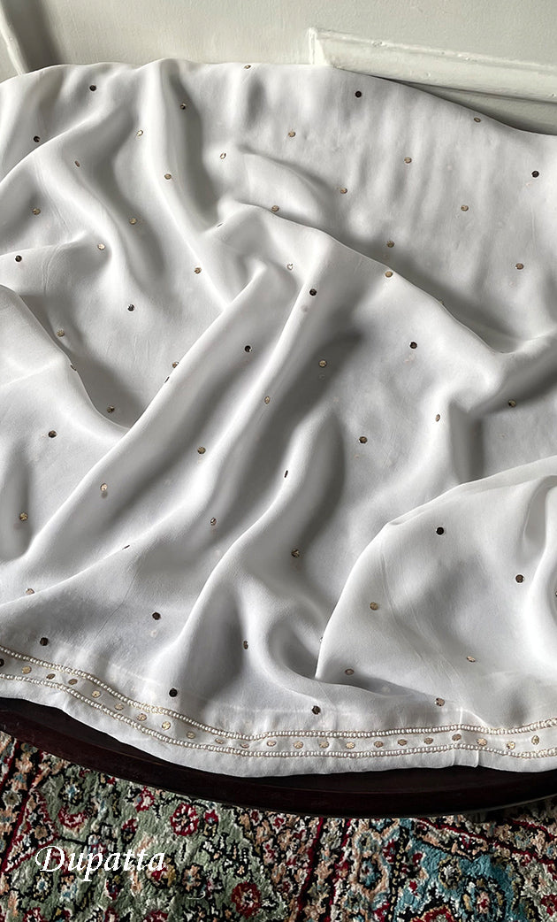 Women's Lucknowi Handcrafted Viscose Georgette Semi - Stitched Chikankari Kurta and Dupatta Set- HONC0328908