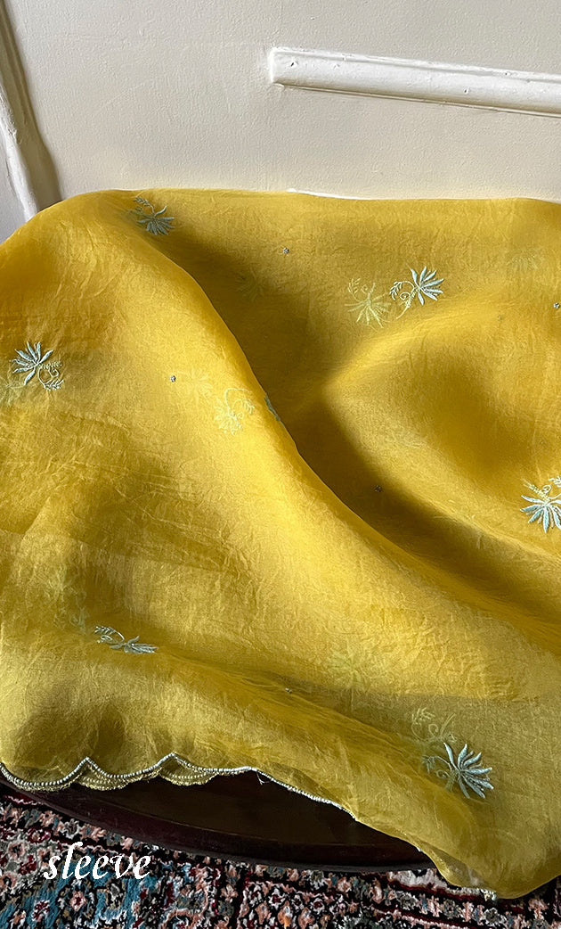 Women's Lakhnavi Handcrafted Pure Organza Chikankari Unstitched Kurta And Dupatta Set- HONC0318668