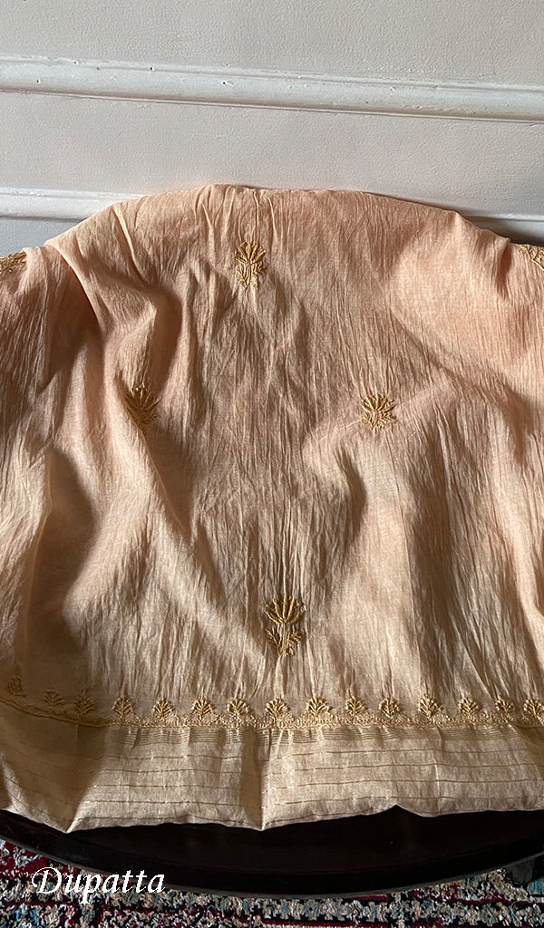 Womens Lakhnavi Handcrafted Mul Chanderi