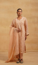 将图像加载到图库查看器中， Women's Lucknowi Handcrafted Pure Organza Silk Stitched Chikankari Kurta, Dupatta With Pant Set- HONC054558