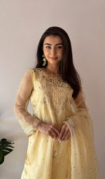 将图像加载到图库查看器中， Women's Lucknowi Handcrafted Pure Organza Silk Stitched Chikankari Kurta, Dupatta With Pant Set- HONC0368442