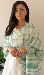 Load image into Gallery viewer, Women's Lakhnavi Handcrafted Mul Chanderi Chikankari Dupatta - HONC0320019