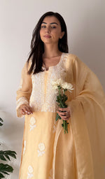 将图像加载到图库查看器中， Rose Women's Lucknowi Handcrafted Pure Organza Silk Stitched Chikankari Kurta, Dupatta With Pant Set- HONC0339014