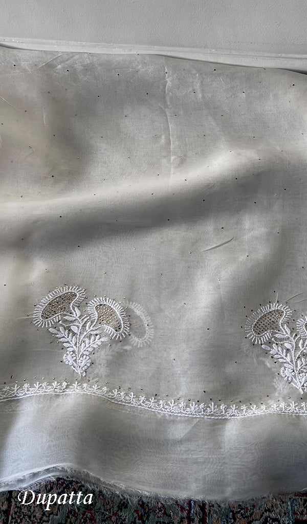 Women's Lakhnavi Handcrafted Pure Organza Chikankari Unstitched Kurta And Dupatta Set- HONC0359777