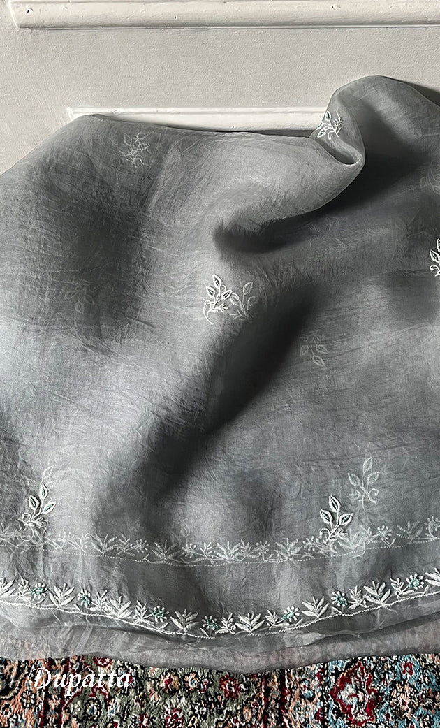 Women's Lakhnavi Handcrafted Pure Organza Chikankari Unstitched Kurta And Dupatta Set- HONC0319972