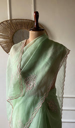 Load image into Gallery viewer, Women's Lucknowi Handcrafted Pure Organza Silk Chikankari Saree - HONC0356072