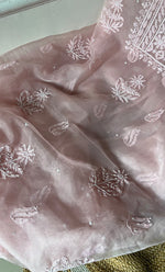 Load image into Gallery viewer, Women&#39;s Lakhnavi Handcrafted Organza Chikankari Unstitched Full Suit Material - HONC0271220

