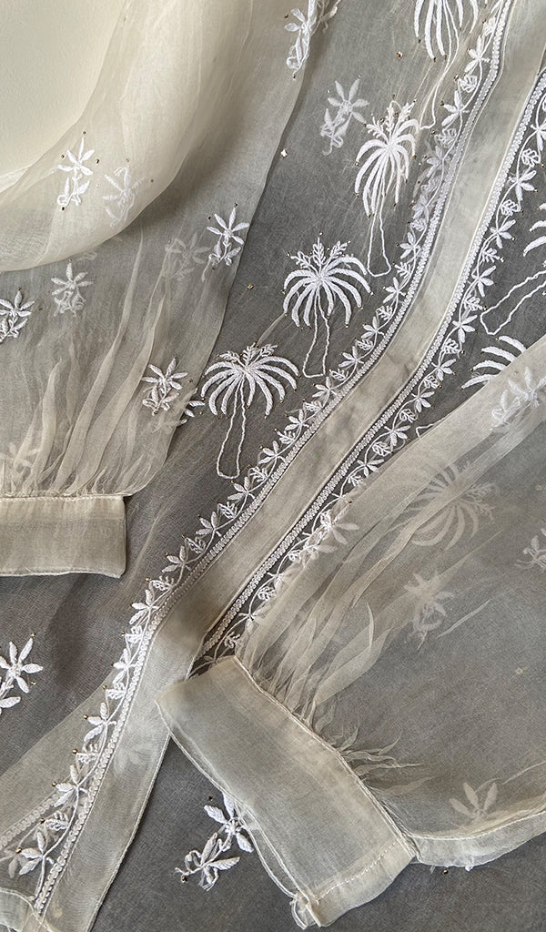 Women's Lakhnavi Handcrafted Semi Stitched Pure Organza Chikankari Top -  HONC0216801