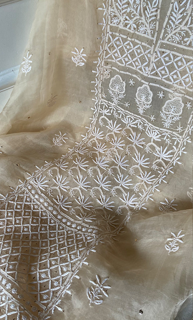 Women's Lakhnavi Handcrafted Pure Organza Chikankari Unstitched Kurta And Dupatta Set- HONC0266923