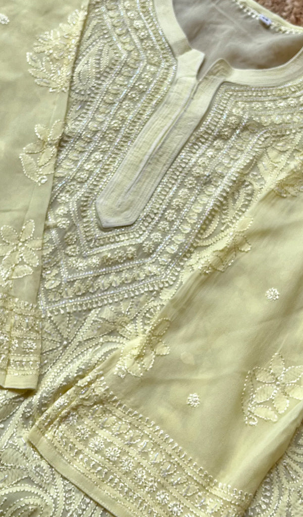 Women's Lakhnavi Handcrafted Viscose Georgette Chikankari Kurti- HONC0261362