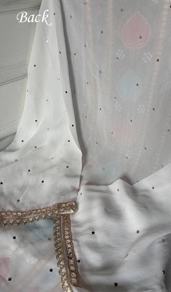 Women's Lucknowi Handcrafted Viscose Georgette Unstitched Chikankari Kurta and Dupatta Set- HONC0329582