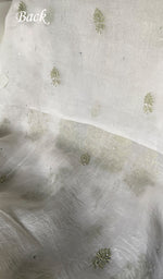 将图像加载到图库查看器中， Women's Lakhnavi Handcrafted Pure Organza Chikankari Unstitched Kurta And Dupatta Set- HONC0340819