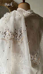 Load image into Gallery viewer, Women's Lucknowi Handcrafted Pure Organza Silk Chikankari Saree - HONC0355016