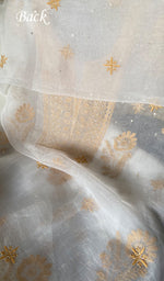 Load image into Gallery viewer, Women's Lakhnavi Handcrafted Pure Organza Chikankari Unstitched Kurta And Dupatta Set- HONC0340861
