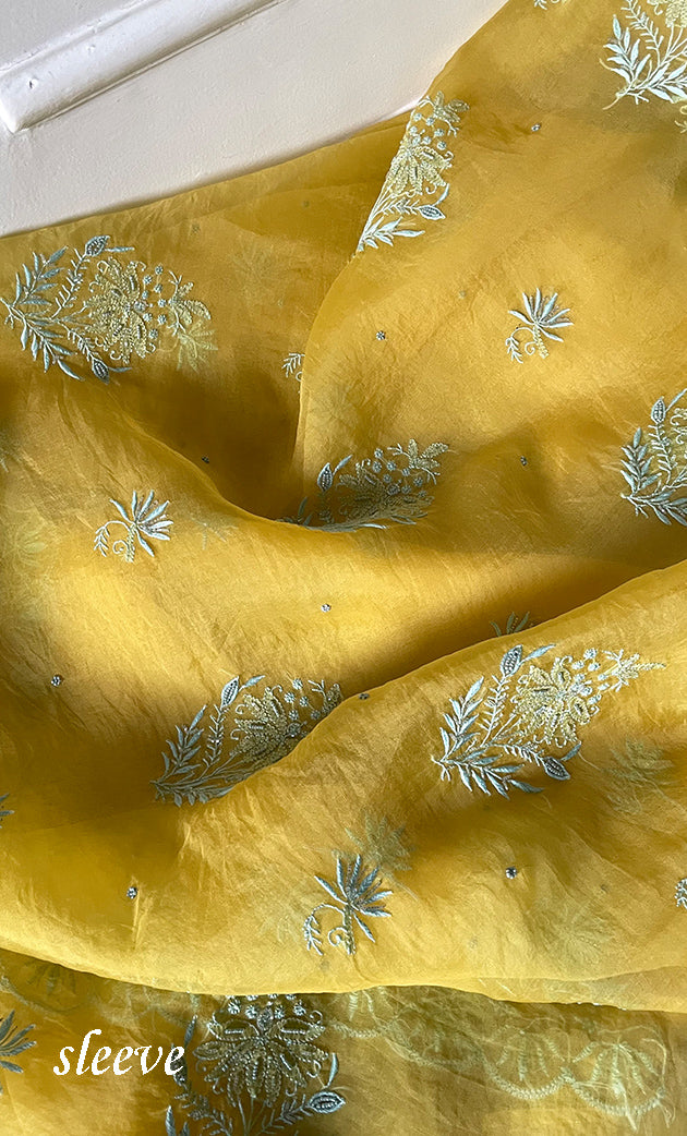 Women's Lakhnavi Handcrafted Pure Organza Chikankari Unstitched Kurta And Dupatta Set- HONC0318668