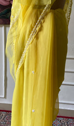 将图像加载到图库查看器中， Women's Lucknowi Handcrafted Faux-Georgette Chikankari Saree - HONC0311920