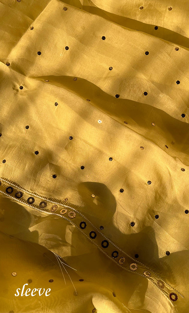 Women's Lakhnavi Handcrafted Pure Organza Chikankari Unstitched Kurta And Dupatta Set- HONC0304473