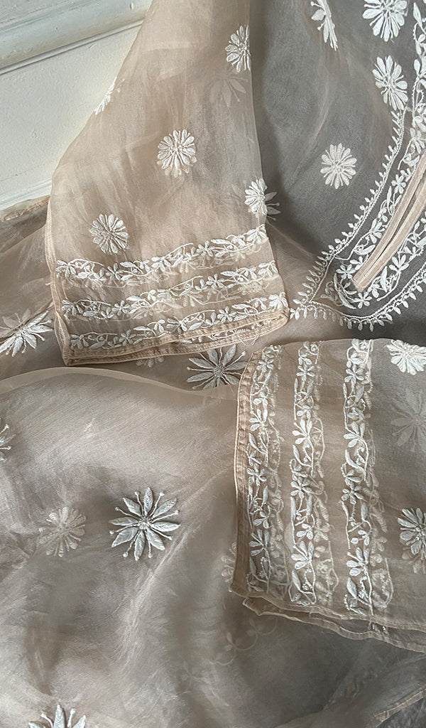 Women's Lakhnavi Handcrafted Pure Organza Chikankari Semi stitched Kurta And Dupatta Set- HONC0348611