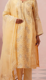 Load image into Gallery viewer, Women's Lucknowi Handcrafted Pure Organza Silk Stitched Chikankari Kurta, Dupatta With Pant Set- HONC04464644