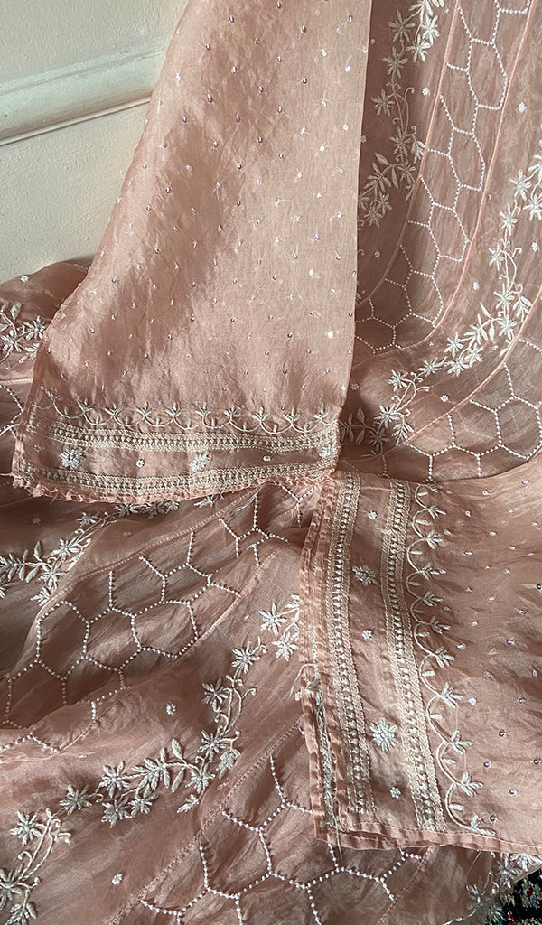 Eshani Women's Lucknowi Handcrafted Pure Organza Silk Chikankari Semi- stitched Anarkali Dupatta Set- HONC0362215