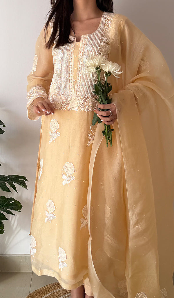 Rose Women's Lucknowi Handcrafted Pure Organza Silk Stitched Chikankari Kurta, Dupatta With Pant Set- HONC0339014