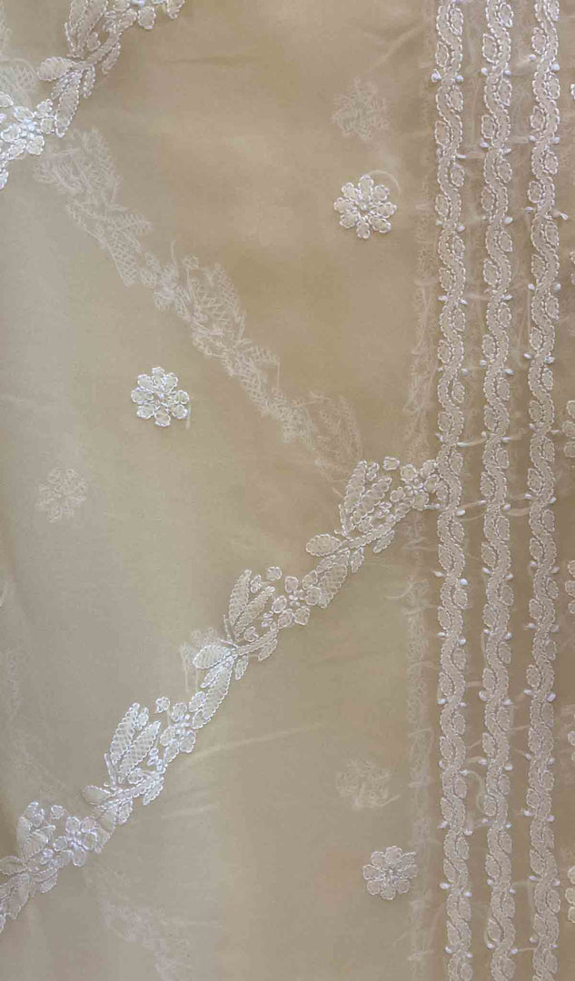 Lucknowi 手工制作的人造乔其纱 Chikankari Dupatta - HONC026794