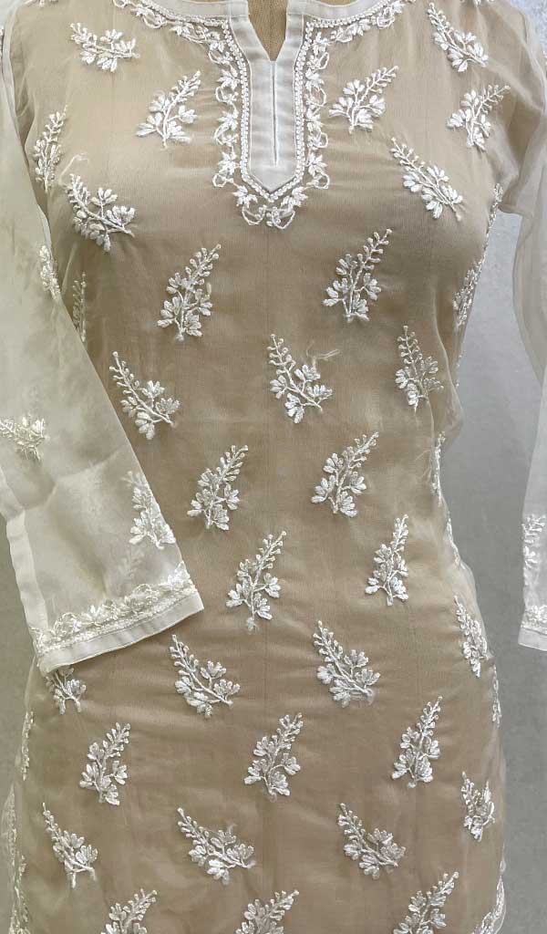 Lakhnavi 手工制作 Orgenza Chikankari 上衣 - HONC0112358