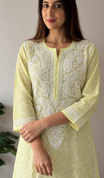 Women's Lucknowi Handcrafted Cotton Chikankari Kurti- HONC0392394