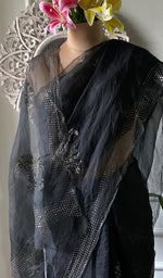 Load image into Gallery viewer, Women's Lucknowi Handcrafted Pure Organza Silk Chikankari Saree - HONC0286698