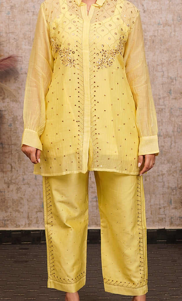 Women's Lucknowi Handcrafted Mul Chanderi Stitched Chikankari Kurta And Plazzo Set- HONC0318573