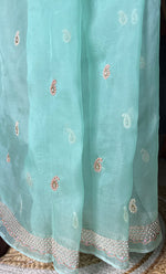 Load image into Gallery viewer, Women&#39;s Lucknowi Handcrafted Pure Organza Silk Chikankari Saree - HONC0287002
