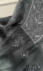 将图像加载到图库查看器中， Women's Lakhnavi Handcrafted Pure Organza Chikankari Unstitched Kurta And Dupatta Set- HONC0311247