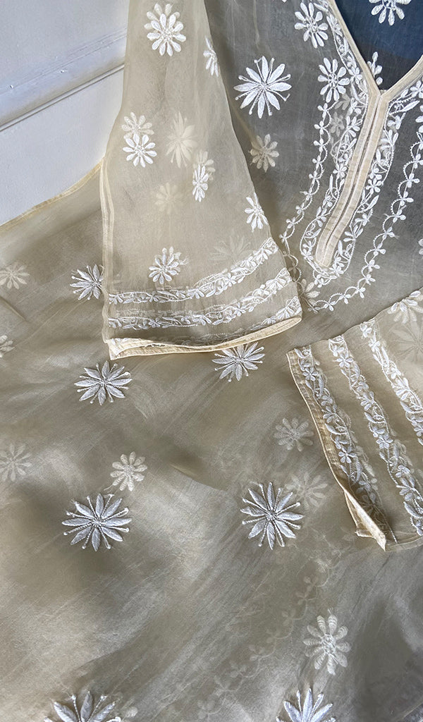 Women's Lakhnavi Handcrafted Pure Organza Chikankari Semi Stitched Kurta And Dupatta Set- HONC0348610