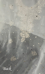 将图像加载到图库查看器中， Women's Lakhnavi Handcrafted Pure Organza Chikankari Unstitched Kurti Fabric - HONC0335837