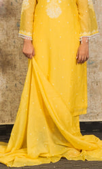 将图像加载到图库查看器中， Women&#39;s Lakhnavi Handcrafted Mul Chanderi Chikankari Stitched Kurta, Dupatta And Pant Set - HONC0324261
