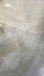 Load image into Gallery viewer, Women's Lakhnavi Handcrafted Pure Organza Chikankari Unstitched Kurta And Dupatta Set- HONC0346144