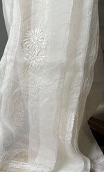 Load image into Gallery viewer, Women&#39;s Lucknowi Handcrafted Pure Organza Silk Chikankari Saree - HONC0295371
