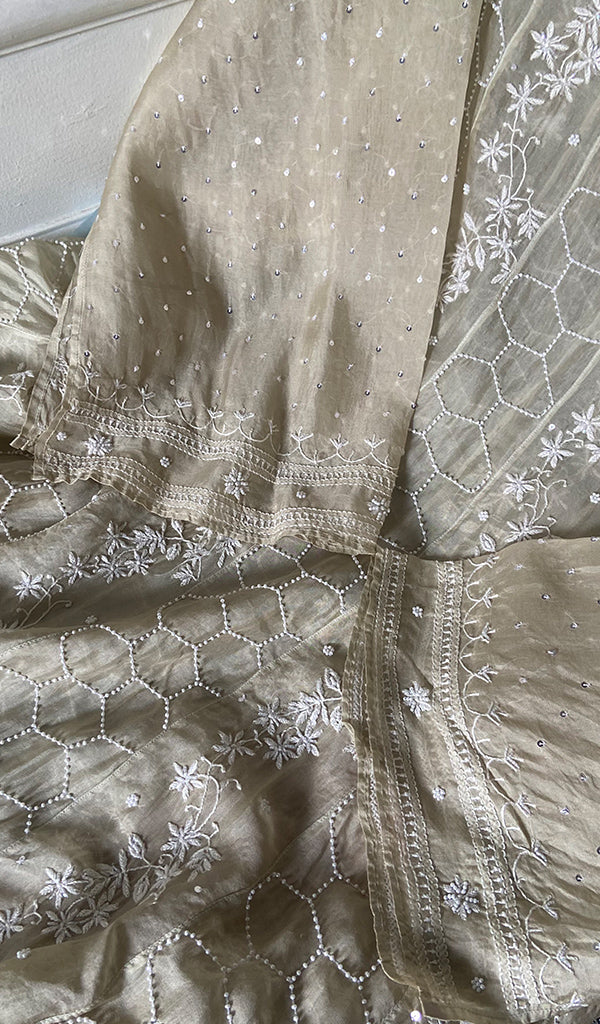 Women's Lucknowi Handcrafted Pure Organza Silk Chikankari Semi - stitched Anarkali Dupatta Set- HONC0362220