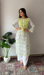 Women's Lucknowi Handcrafted Chiffon Chikankari Kurti- HONC056325