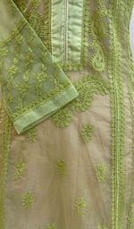 Load image into Gallery viewer, Women&#39;s Lakhnavi Handcrafted Organza Chikankari Anarkali Dress- HONC040014