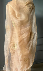 Load image into Gallery viewer, Women&#39;s Lucknowi Handcrafted Pure Organza Silk Chikankari Saree - HONC0269567
