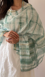 Load image into Gallery viewer, Women's Lakhnavi Handcrafted Mul Chanderi Chikankari Dupatta - HONC0320019