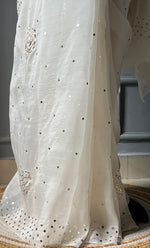 Load image into Gallery viewer, Women&#39;s Lucknowi Handcrafted Pure Organza Silk Chikankari Saree - HONC0307475
