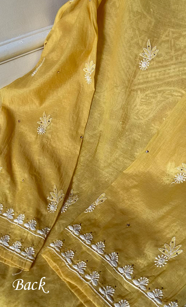 Women's Lakhnavi Handcrafted Mul Chanderi Semi - stitched Kurta And Dupatta Set- HONC0282417